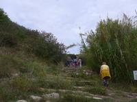 Italien, Cilento, Velia