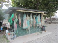 Isola Pescatori(Fischerinsel)- unsere Mittagspause mit viel Sonne und gutem Essen