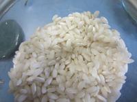 Reisanbau-landwirtschaftliche Betrieb Tenuta Castello 