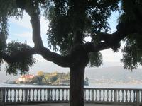 Ein letzter Blick auf die Isola Bella