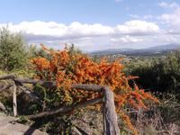 Aussichtspunkt in der Gallura