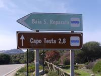 Capo Testa 