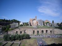 Blick auf das Forum Romanum