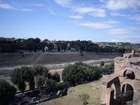Blick auf den Circus Maximus