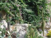 Vatikanische Gärten