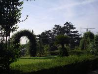 Vatikanische Gärten