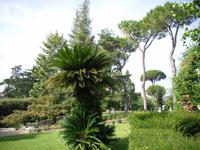 Vatikanische Gärten