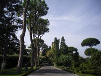 Vatikanische Gärten