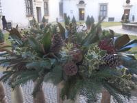 Blick auf den Löwenhof