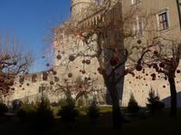 Weihnachtlicher Garten des Castello del Buonconsiglio 