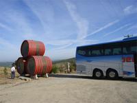 Weinverkostung Toskana