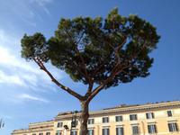 116 Largo Argentina