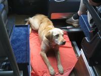 IMG_5466 Semmel - Panina