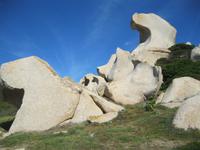 IMG_5559 Tafoni am Capo Testa