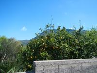 Wanderung Punta Imperatore