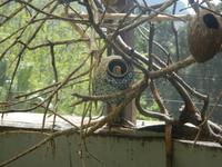 Giardini La Mortella