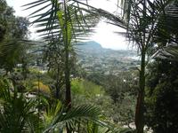 Giardini La Mortella