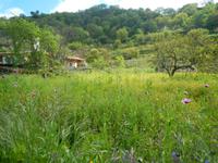 Wanderung Buonpane - Fiaiano - Castiglione