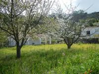 Wanderung Buonpane - Fiaiano - Castiglione