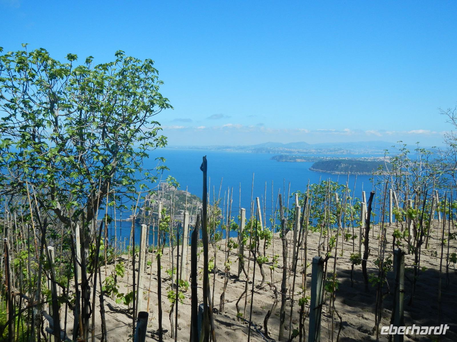 Wanderung Vataliere - Piano Liguori - Campagnano