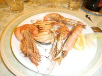 Riesengarnelen 