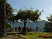 Ravello 2