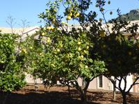 Argostoli, Andreaskloster