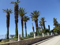 Argostoli, Kourkoumelata