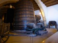 Marsala, Weingut