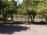 Wanderung ab Buonopane