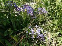 Wanderung ab Buonopane