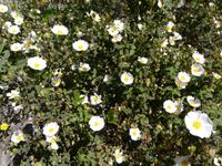 Wanderung ab Buonopane