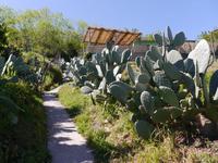 Mittagspause beim Bauern