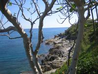 die tyrrhenische See