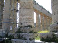am Tempel von Segesta 