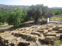 Blick über Oliven- und Mandelplantagen auf die Neustadt von Agrigent