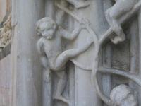 Weingeister tanzen ... 