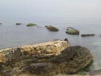 Der Horizont verschwimmt im Nebel.  