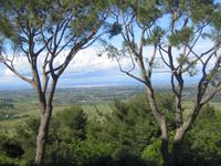 Blick vom Castell del Monte nach Foggia 