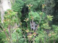 Papiermühlruine in einer Schlucht in Sorrent  