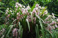 Besuch auf dem Landgut