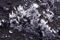 Ätna - Eis und Asche