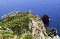 Steilküste von Pollara