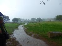 Italien, Paestum, Ausgrabungen