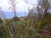 Italien, Punta Tresina, Weingut San Giovanni