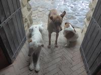 Italien, Weingut Marino