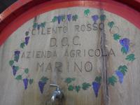 Italien, Weingut Marino