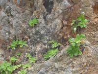 Italien, Cilento, Palinuro-Primel