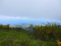 Italien, Cilento, Wanderung Monte Stella