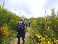 Italien, Cilento, Wanderung Monte Stella